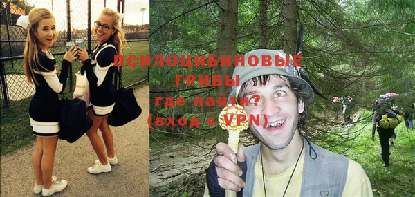 гашик Мегион