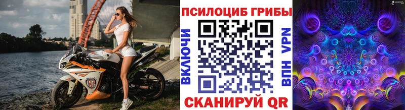 Галлюциногенные грибы Cubensis Кемерово