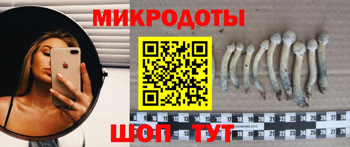 Галлюциногенные грибы ЛСД  купить наркотики цена  Кемерово  Псилоцибиновые грибы Psilocybine cubensis  Вход с VPN 